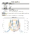 Swath Gobbler Report.webp